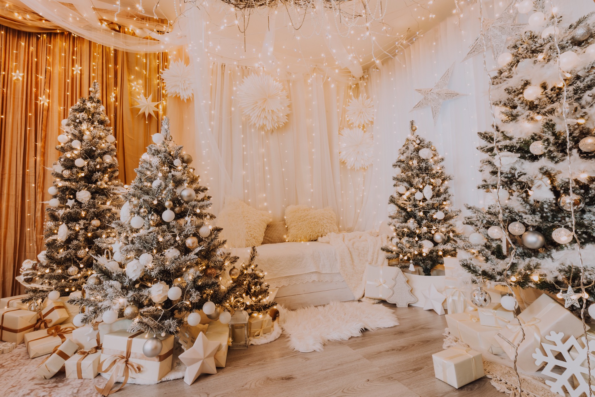 Bílá scéna 2025 - navazující na hlavní